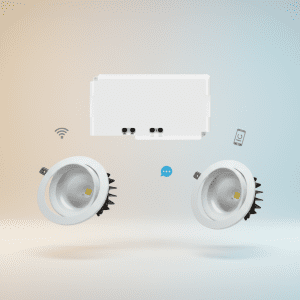 Smart WiFi Bi-Channel CCT COB Light (18W) – Dual LED Smart Downlight